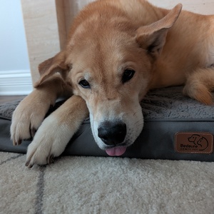 Fundraising Page: Rebecca Rosenberry